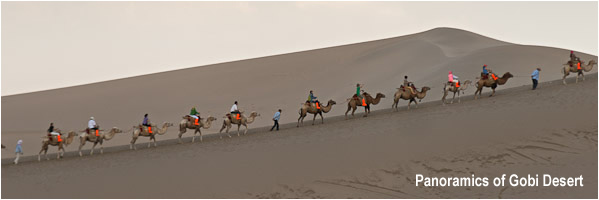 Panoramics of Gobi Desert