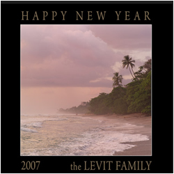 Happy New Year 2007 the Levit Family