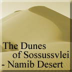The Dunes of Sussussvlei - Namib Desert