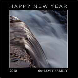 Happy New Year 2010 the Levit Family