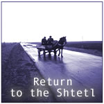 Return to the Shtetl