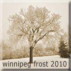 Winnipeg Frost 2010